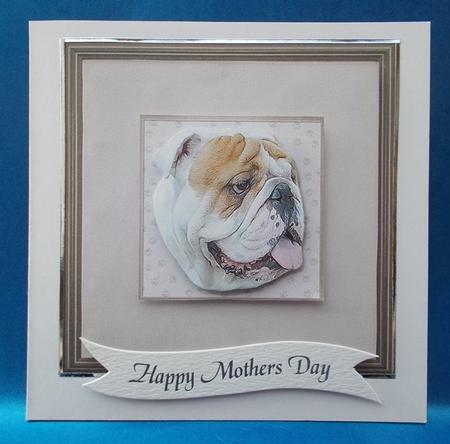 Bulldog Portrait 1 Pyramid by Jacqueline Bunnett