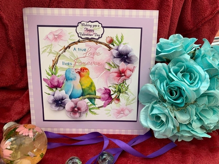 True love birds by Jacqueline  Herbert 