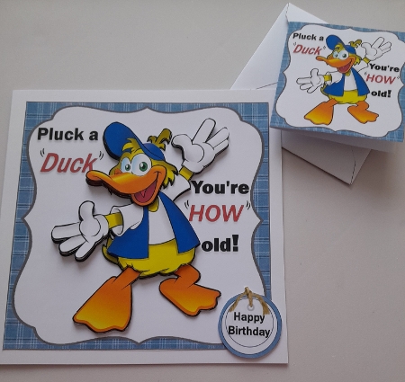 7x7 pluck a duck male mini kit by Jacqueline Sinden