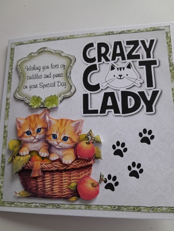 Crazy Cat Lady Bumper Kit 38 -9 sheets, Card fronts, decoupage, inserts, and greeting boxes  by Jacqueline Sinden