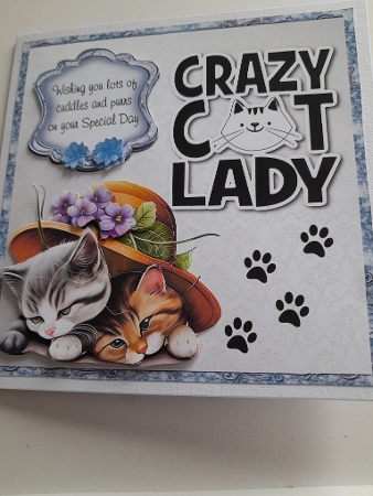 Crazy Cat Lady Bumper Kit 38 -9 sheets, Card fronts, decoupage, inserts, and greeting boxes  by Jacqueline Sinden