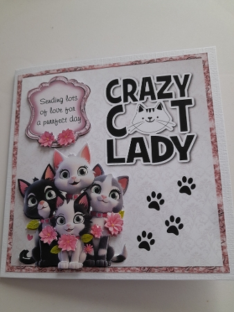 Crazy Cat Lady Bumper Kit 38 -9 sheets, Card fronts, decoupage, inserts, and greeting boxes  by Jacqueline Sinden