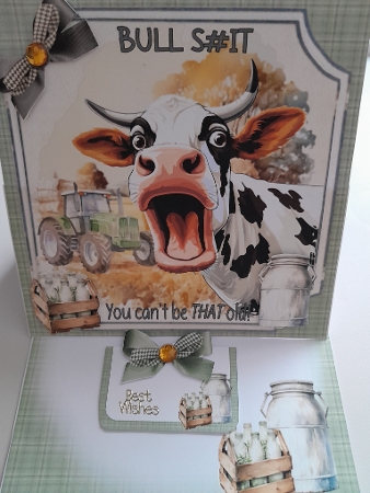 7x7 Holy cow male choice of four mini kit by Jacqueline Sinden