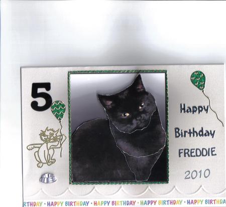 Black Cat Portrait 3D Decoupage by Jan Appleton