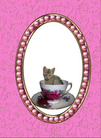 Kitties in Cups Toppers by Jan Barcelo