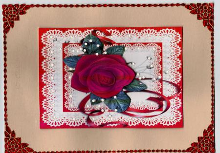 Red Rose on Lace by Jan Barcelo