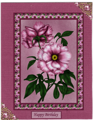 Pretty Painted Peonies Step by Step by Jan Barcelo