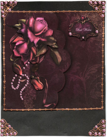 Roses on Lace by Jan Barcelo