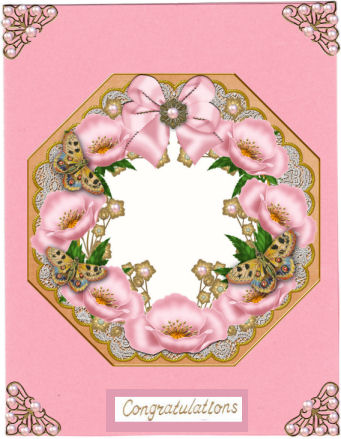 Pink Poppy Burnt Orange Lace Octagon 8inch Frame Sheet by Jan Barcelo