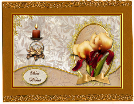 Iris Wavy Edge Card by Jan Barcelo