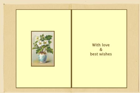A Vase of Flowers Insert by Jan Barcelo