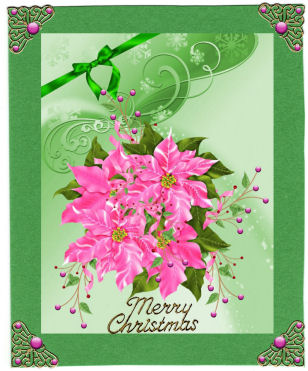 Pink Poinsettia by Jan Barcelo
