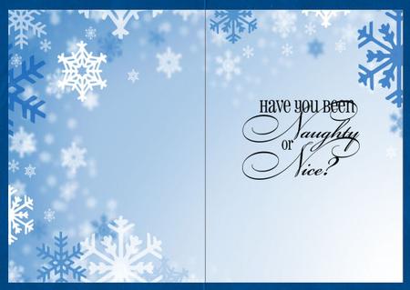 Christmas Snowflakes Insert by Jan Barcelo