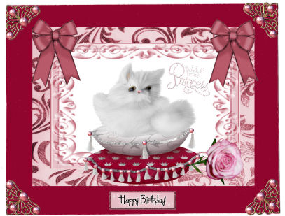 Princess, the Fluffy White Kitten by Jan Barcelo