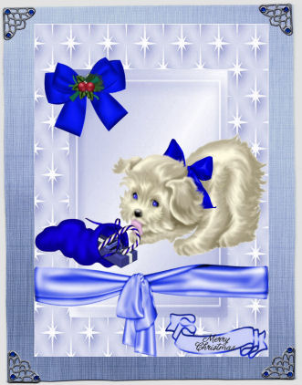 Little White Puppy in Blue Star Frame by Jan Barcelo