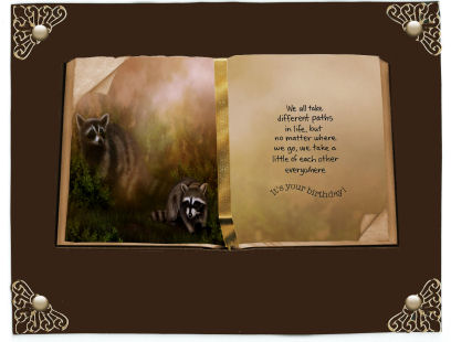 Racoon Mother and Baby Book by Jan Barcelo