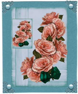 Roses by Jan Barcelo