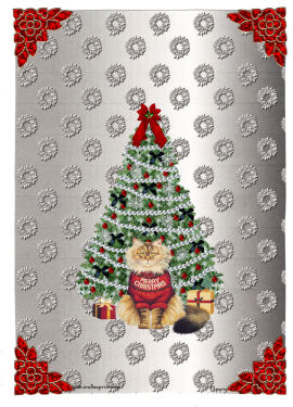 Silver Metallic Embossed Effect Wreaths Background Paper by Jan Barcelo