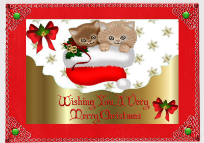 Cute Pair of Kitties in Santa Hat on Scalloped Envelope A4 by Jan Barcelo
