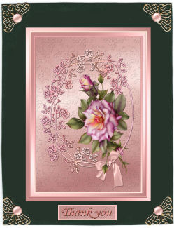 Framed Rose by Jan Barcelo