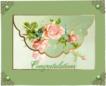 Pink Rose, Forget Me Not, Envelope by Jan Barcelo