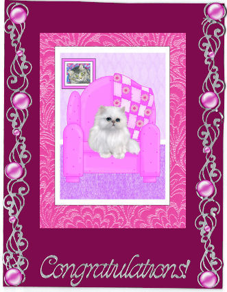 White Persian Kitten Cat on Pink Armchair Oval Pyramid Card by Jan Barcelo
