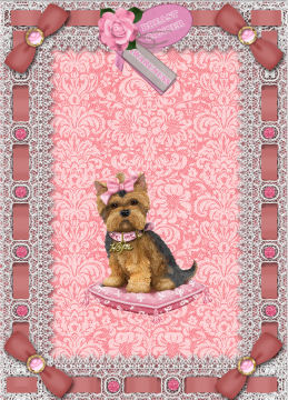 Pink Roses Lace Eyelet Blank A4 Frame Sheet by Jan Barcelo