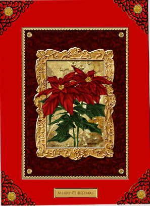 Christmas Poinsettia by Jan Barcelo