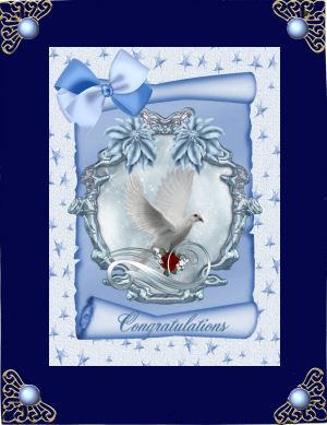 Beautiful Winter Shield of a Dove on a Scroll A4 by Jan Barcelo