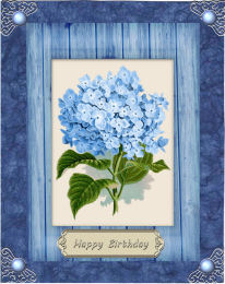 Beautiful Vintage Hortensia in Bleu by Jan Barcelo