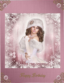Christmas Beauty by Jan Barcelo