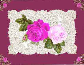 Stunning Pink/cerise Roses on Ecru Lace by Jan Barcelo