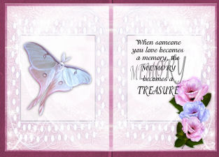 Enchanted Blooms Insert by Jan Barcelo