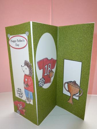 Spike Playing Football Trifold Fillers by Jan Plimmer