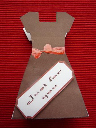 Deep Pink Sq Necked Dress Gift Bag by Jan Plimmer