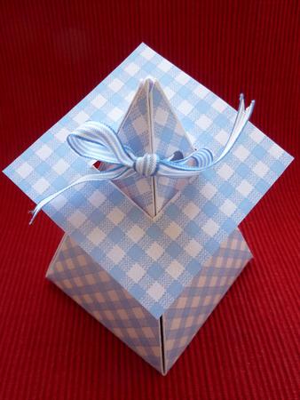 Gingham in Baby Blue by Jan Plimmer