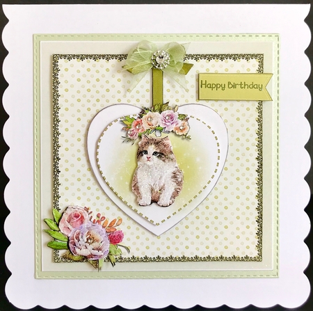Cat card - happy birthday by Jan Salisbury