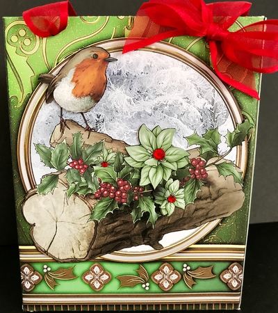 Christmas Robin Mini Gift Bag Green by Jan Salisbury
