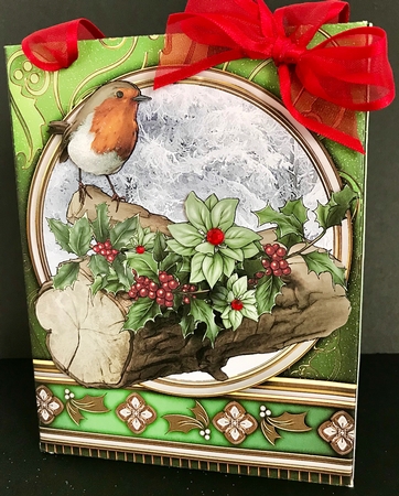 Christmas Robin Mini Gift Bag Green by Jan Salisbury
