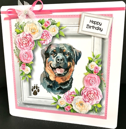 Beautiful Rottweiler & Pink Camellias by Jan Salisbury