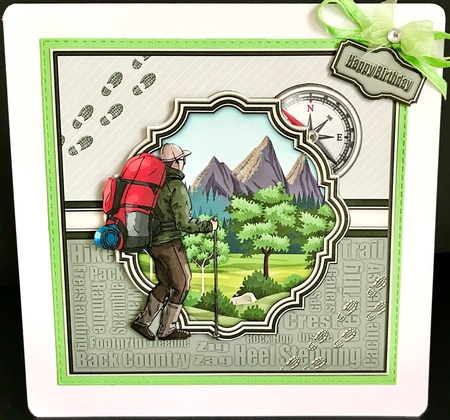 The Hiker by Jan Salisbury