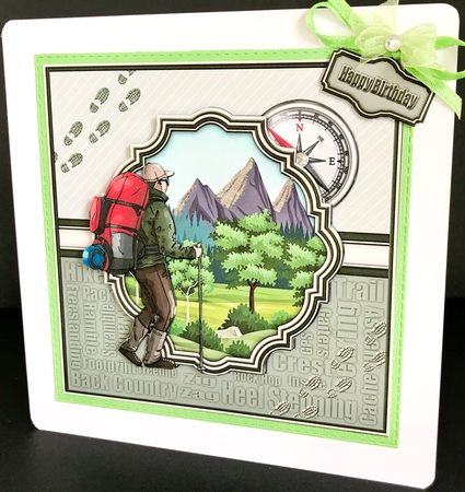 The Hiker by Jan Salisbury