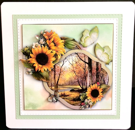 Border Birthday Greeting - Sunflowers by Jan Salisbury