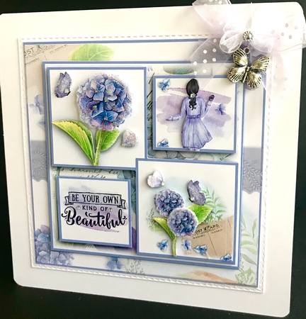 Hydrangea Beauty by Jan Salisbury