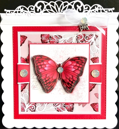 Butterfly G by Jan Salisbury