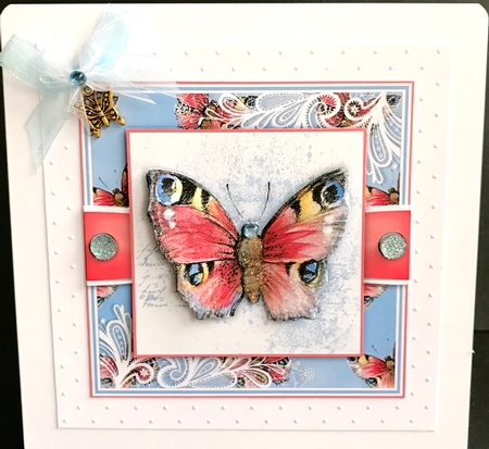 Butterfly Y by Jan Salisbury