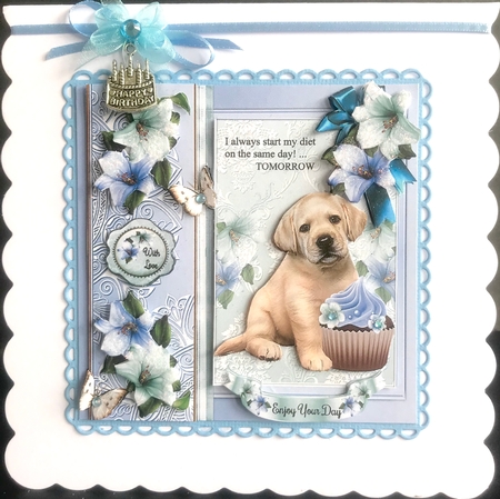 The Diet 2 Mini Page Kit by Jan Salisbury