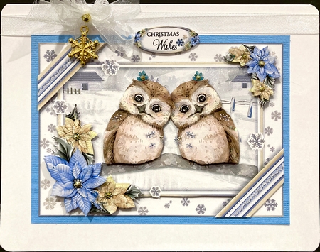 Hope Your Christmas is a Hoot! by Jan Salisbury