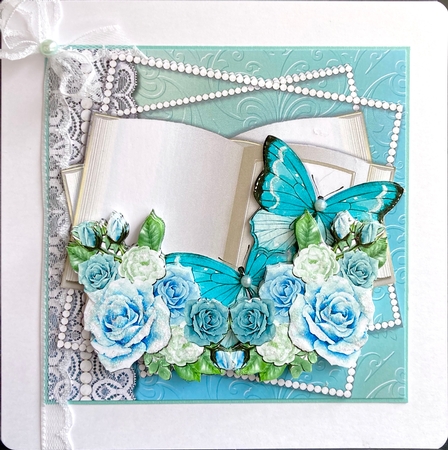 Butterfly Book  by Jan Salisbury
