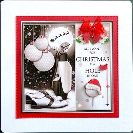 The Christmas Golf Ball by Jan Salisbury